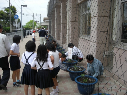 小学校